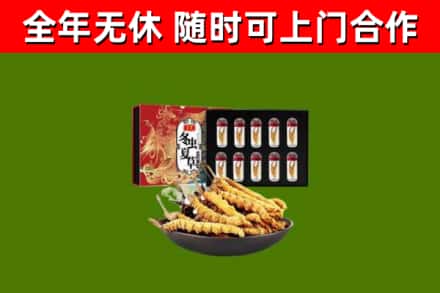 普陀区烟酒回收冬虫夏草礼盒.jpg